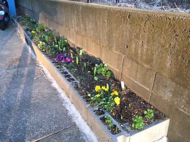 image3.jpeg