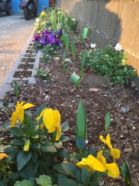 image4.jpeg
