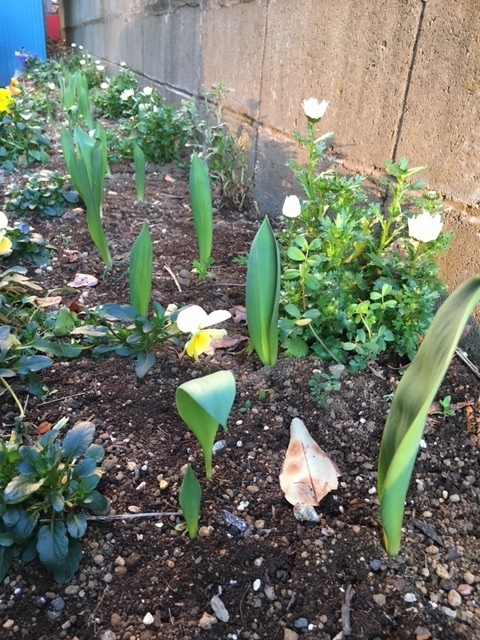 image5.jpeg