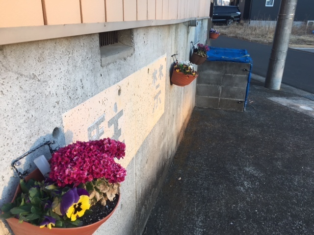 image8.jpeg